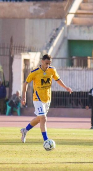 محمد محسن شيكا